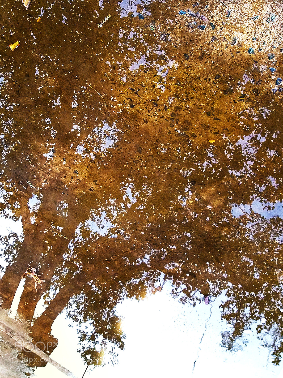 Samsung Galaxy J5 sample photo. Tree shadow on water photography