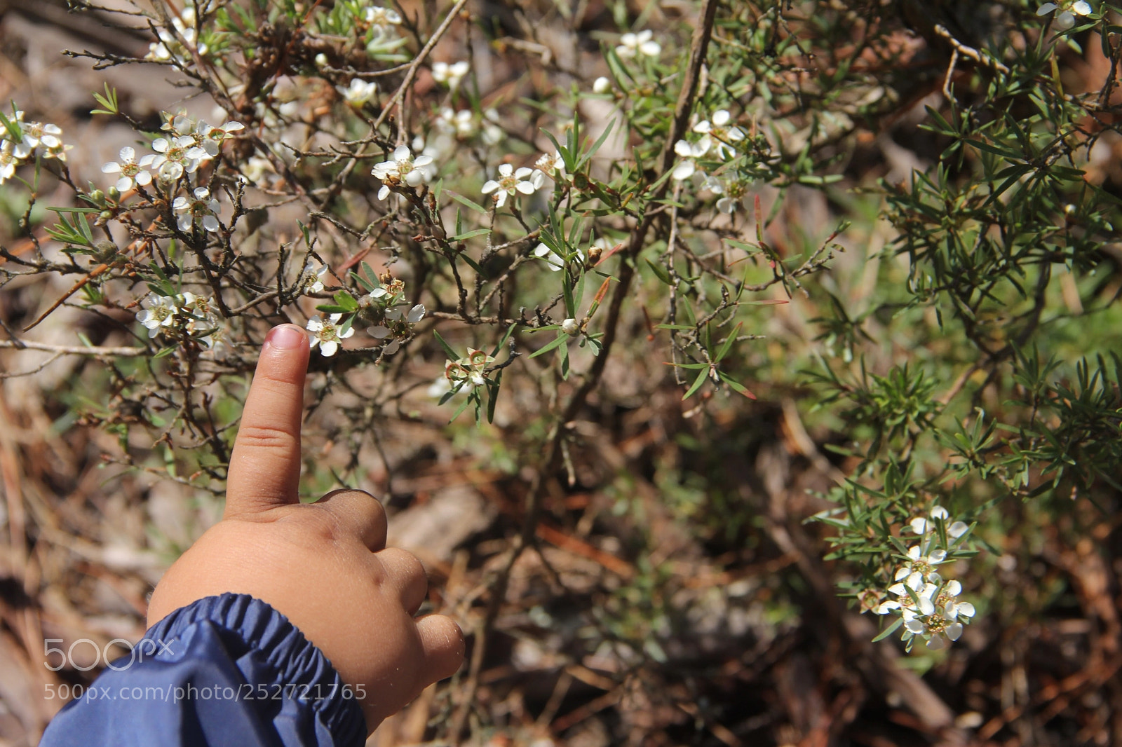 Canon EOS 60D sample photo. I feel you photography
