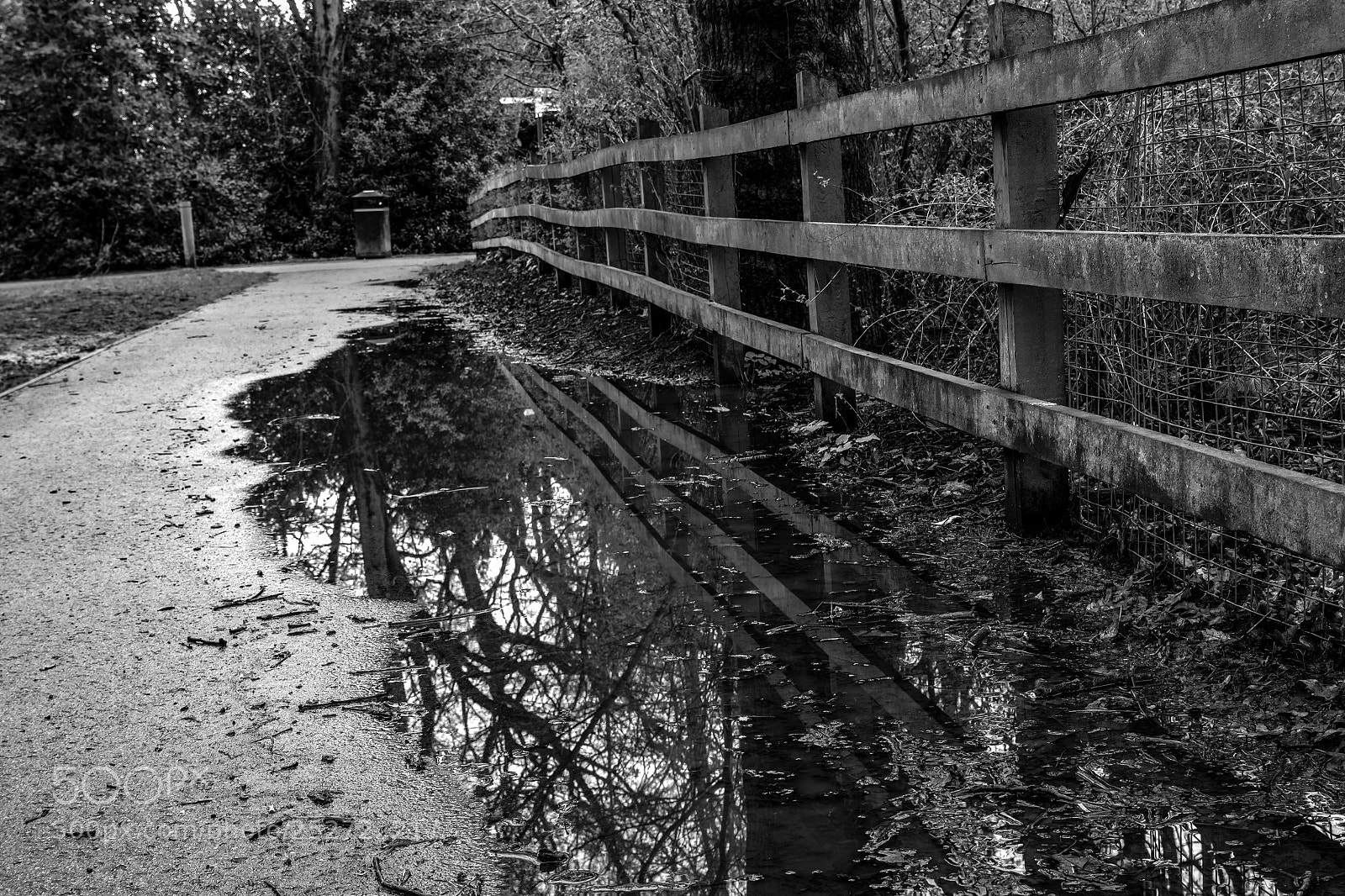 Canon EOS 650D (EOS Rebel T4i / EOS Kiss X6i) sample photo. After the rain (97/365) photography