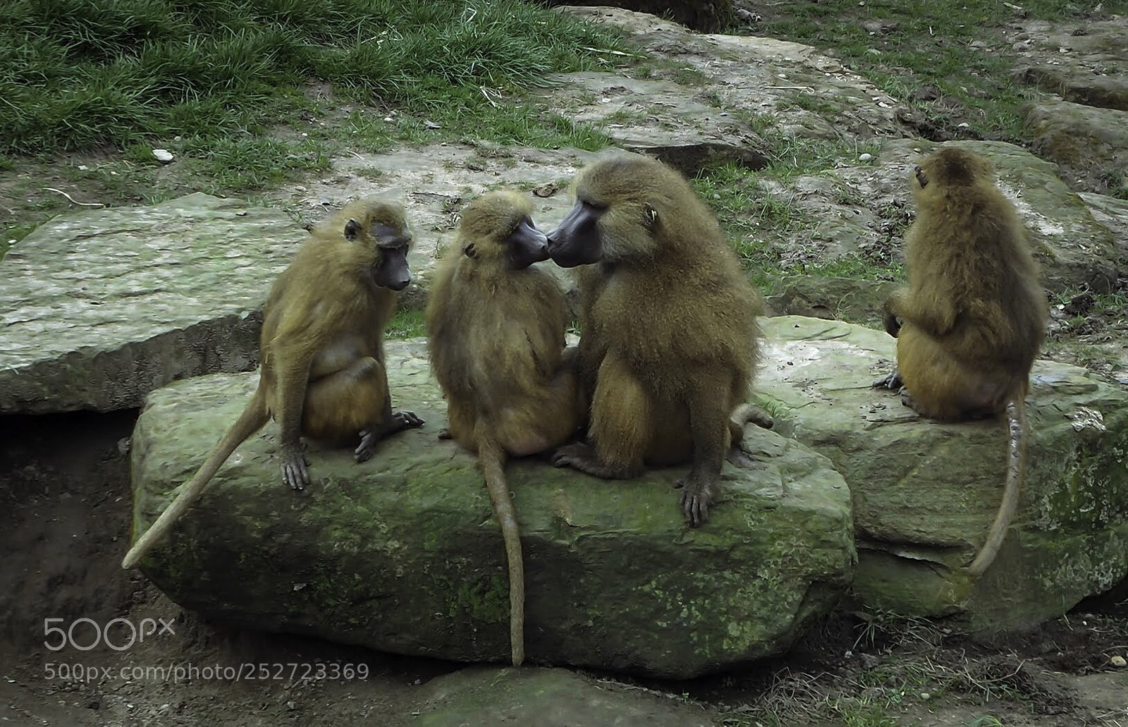 Olympus OM-D E-M5 II sample photo. Sealed with a kiss  photography