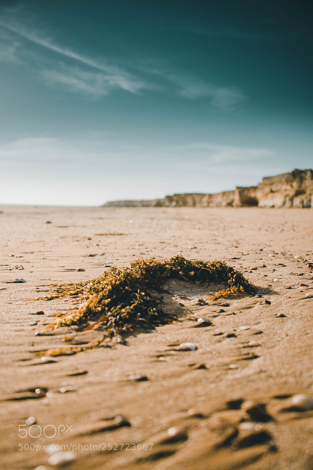 Canon EOS 70D sample photo. Rocky beach photography