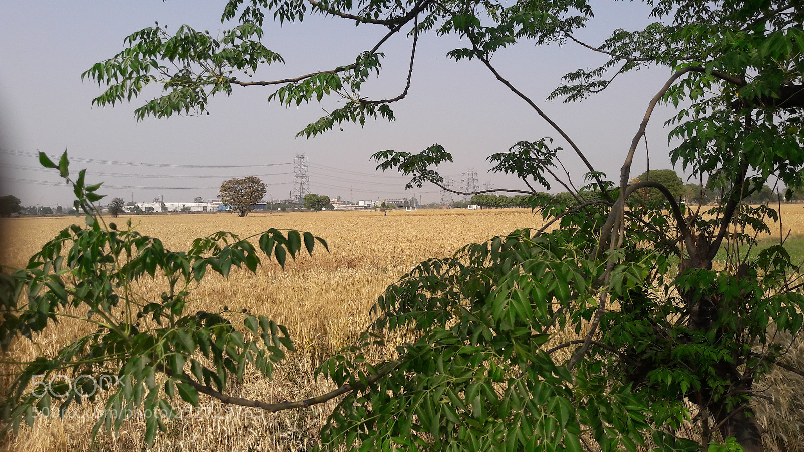 Samsung Galaxy J7 sample photo. Untitled photography