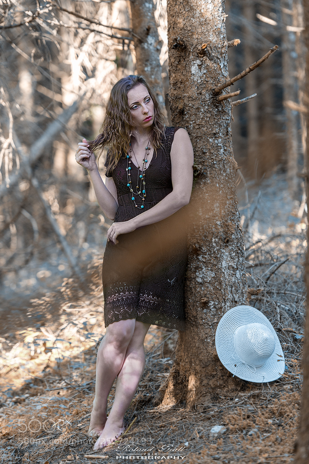 Nikon D3S sample photo. Forest stop photography