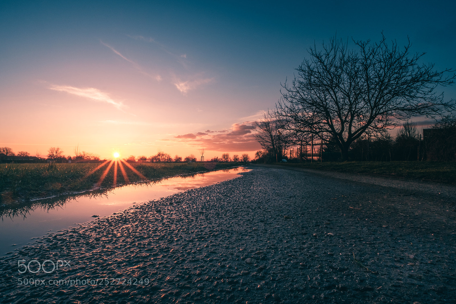 Fujifilm X-T1 sample photo. Http://weinheim.photos photography