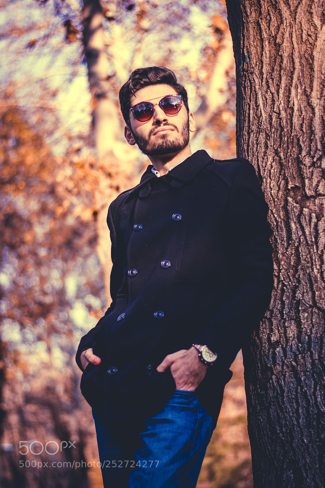Nikon D7200 sample photo. Amir photography