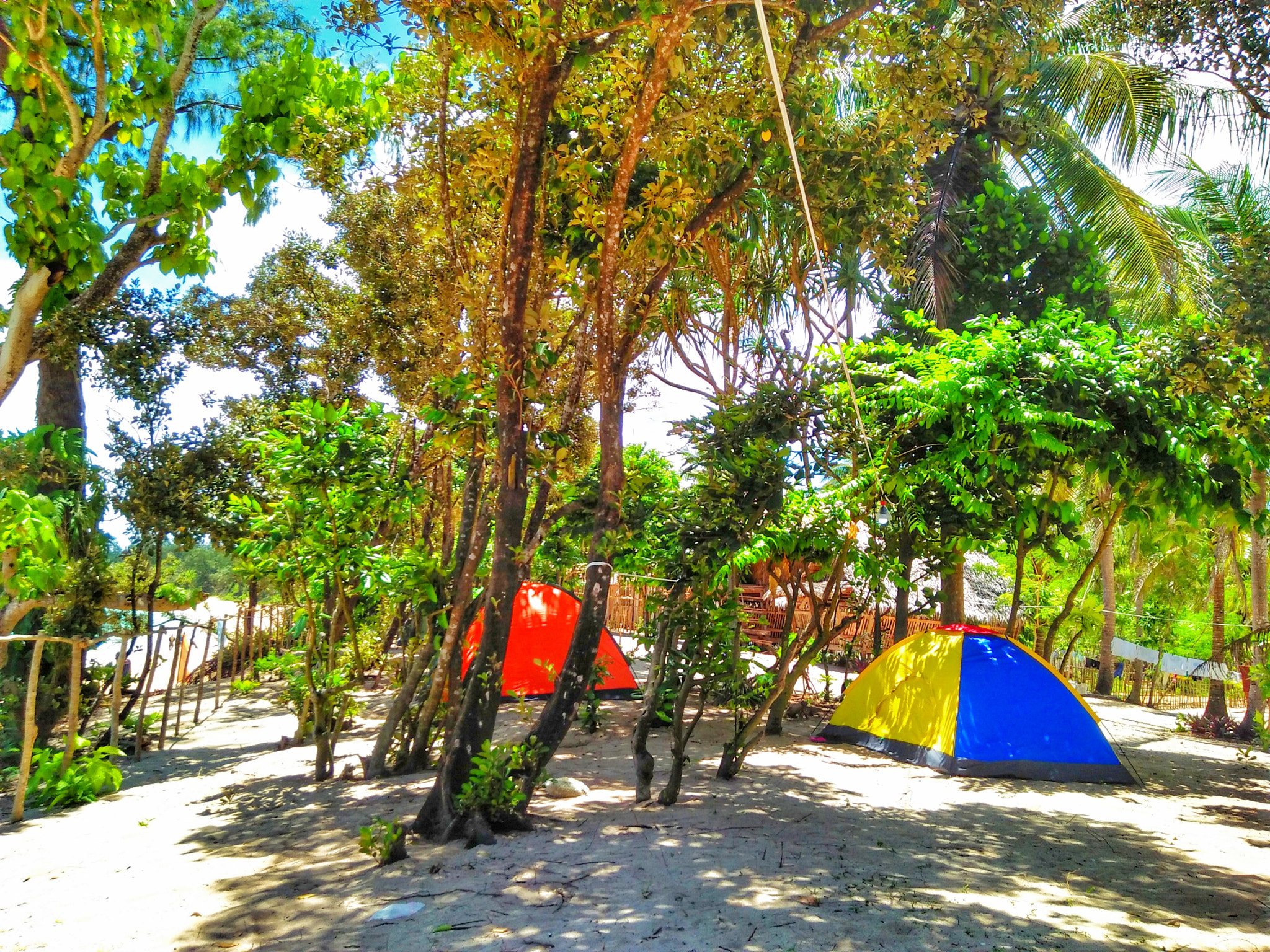 OPPO A37fw-International sample photo. Camping over party. photography