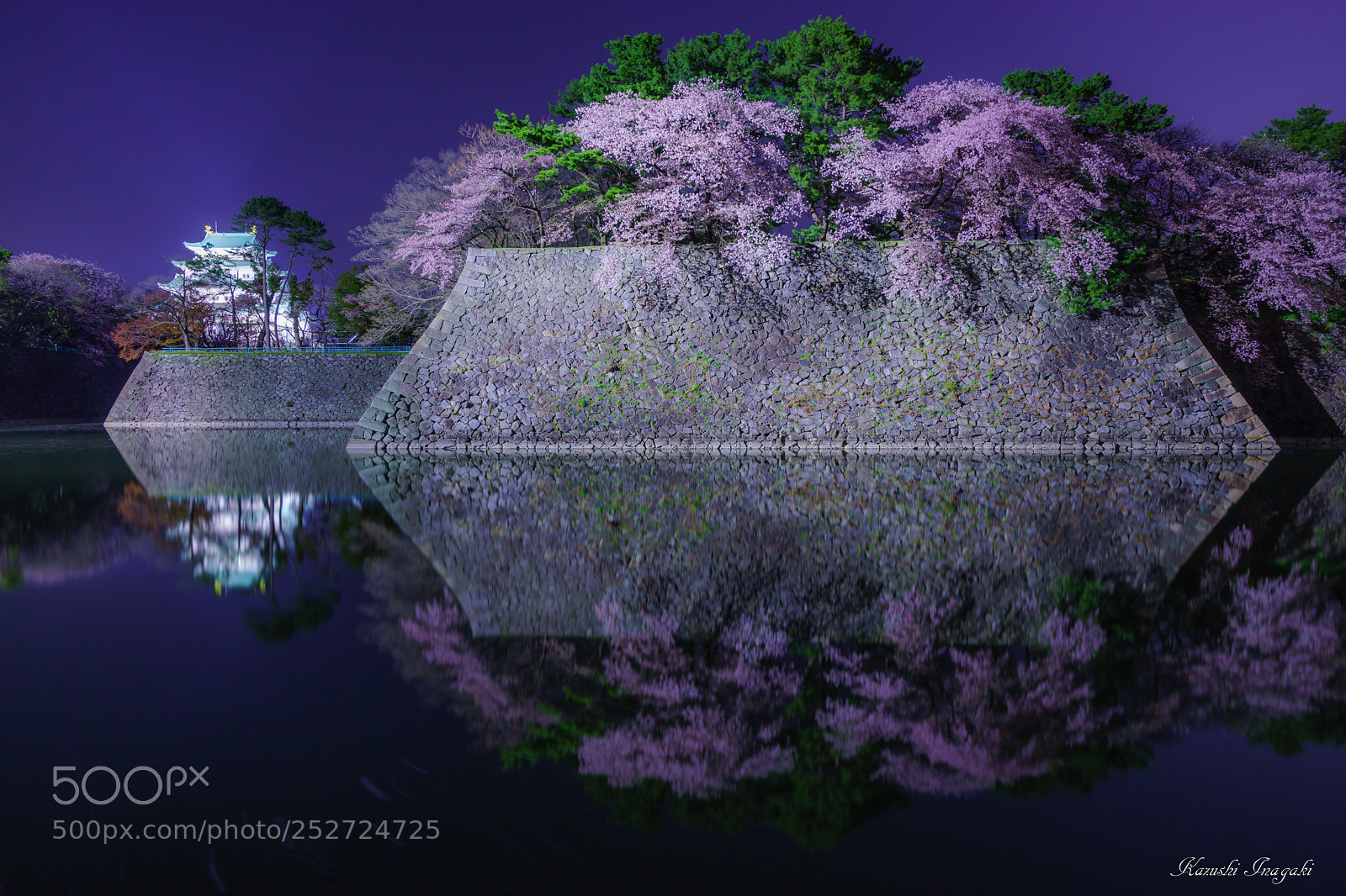 Sony SLT-A99V sample photo. Cherry blossom of nagoya photography