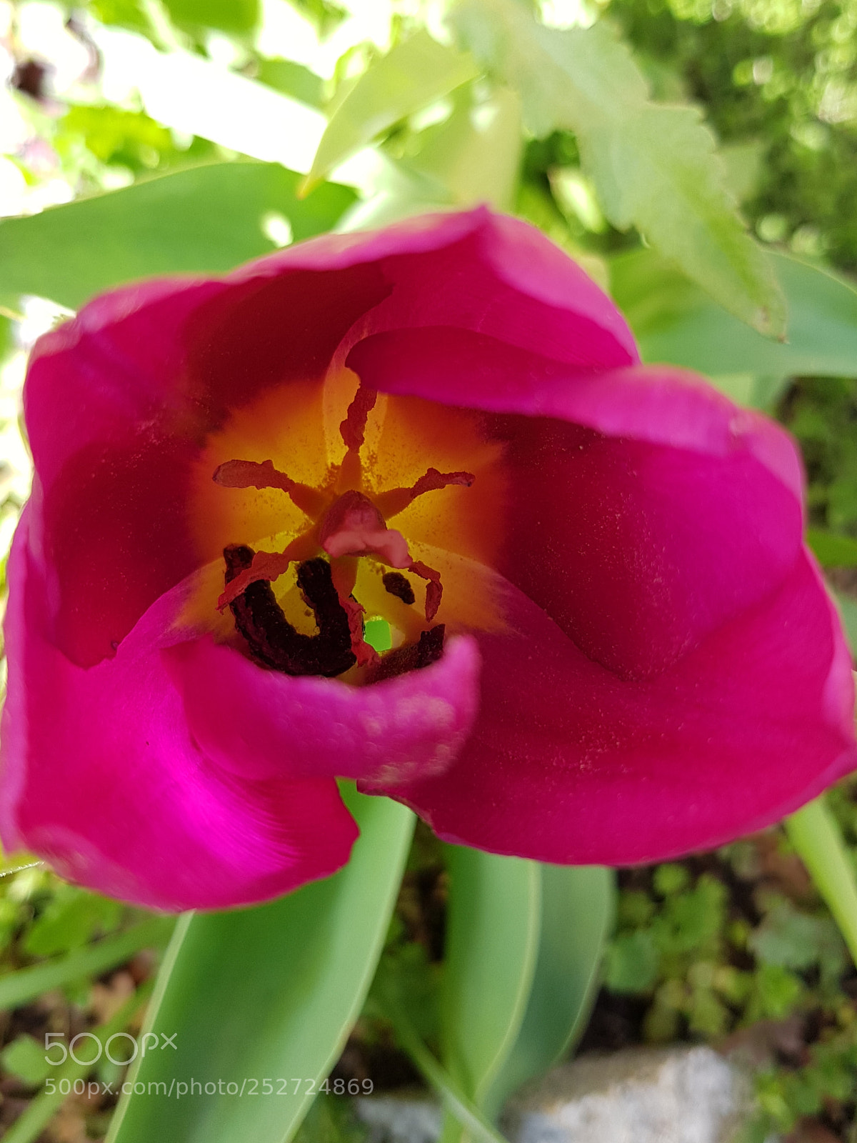 Samsung Galaxy S8+ sample photo. Untitled photography