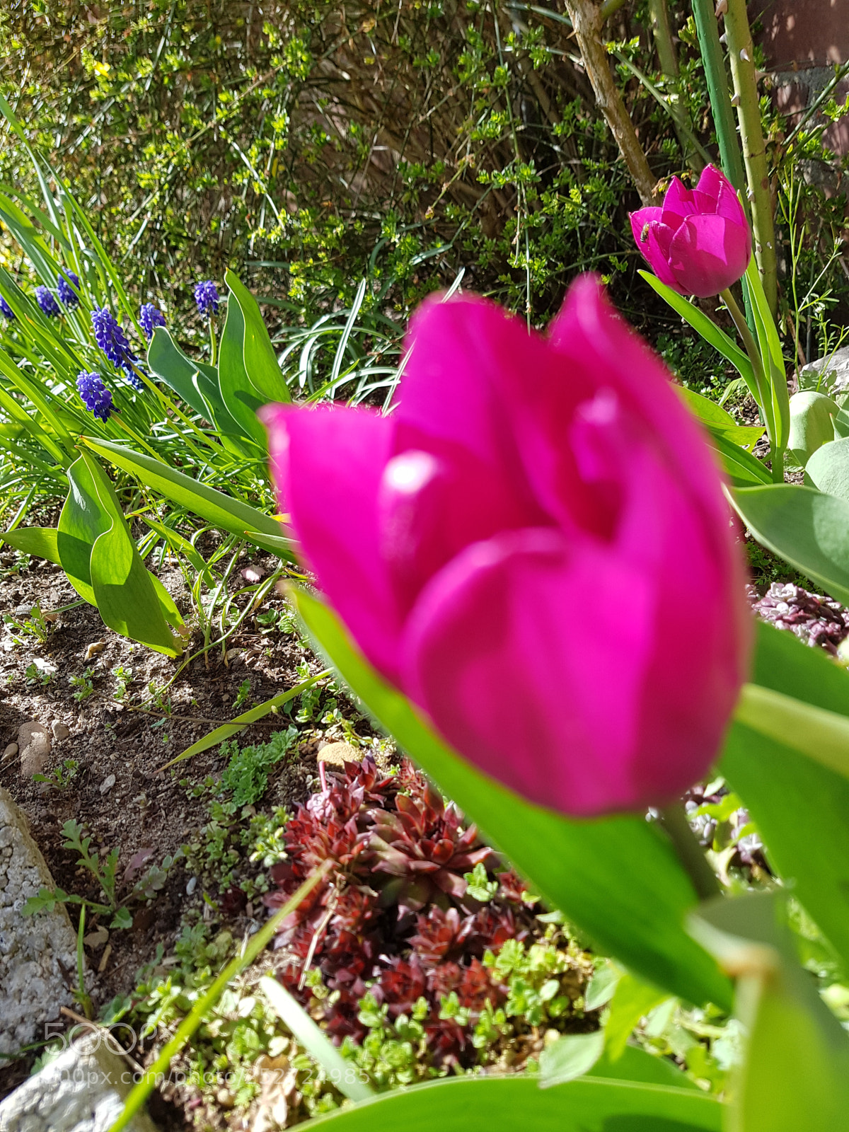 Samsung Galaxy S8+ sample photo. Untitled photography