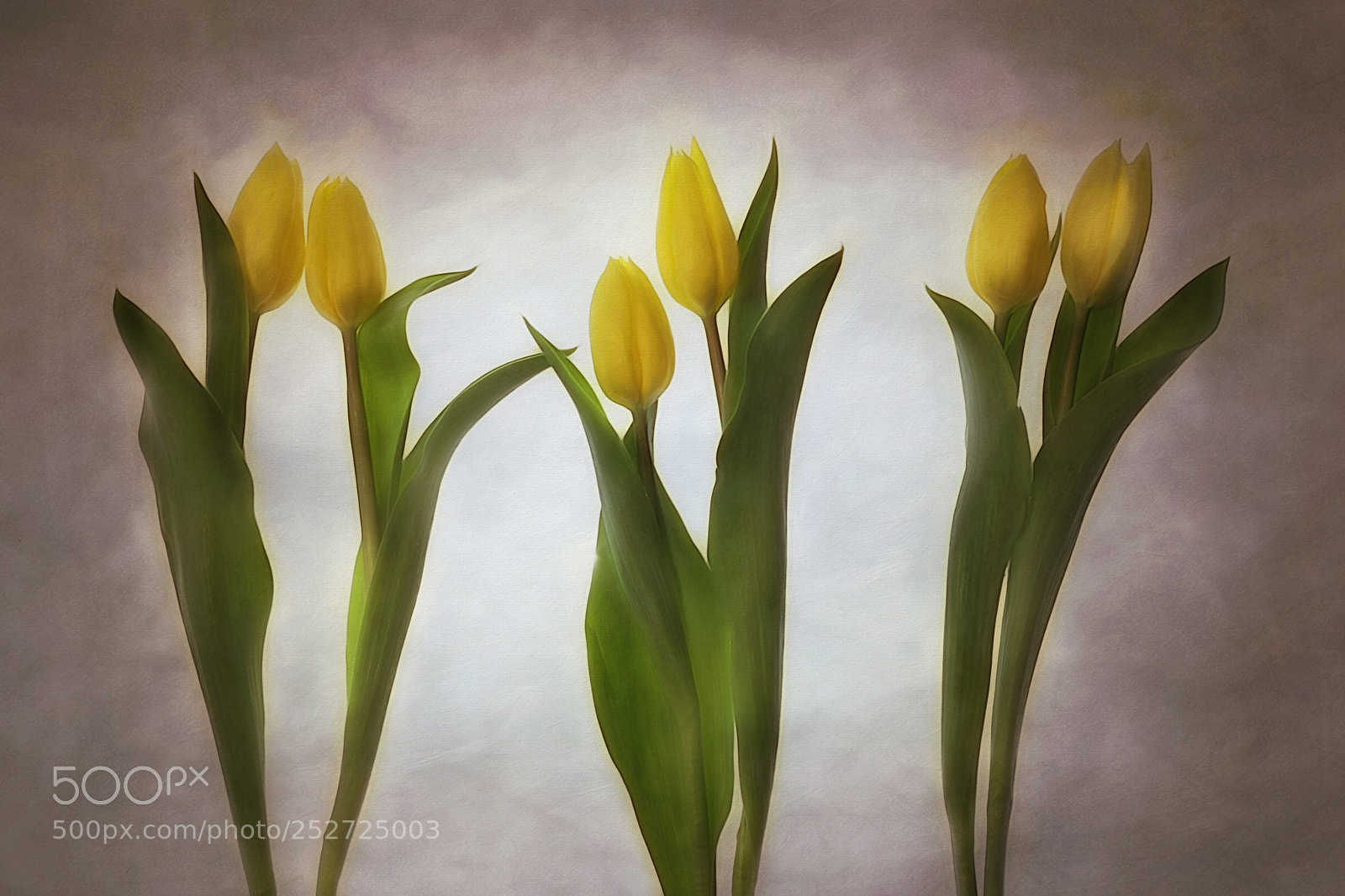 Canon EOS 5D Mark IV sample photo. Young love photography