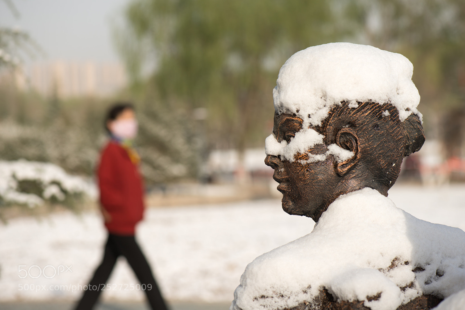 Nikon D800E sample photo. Spring snow photography