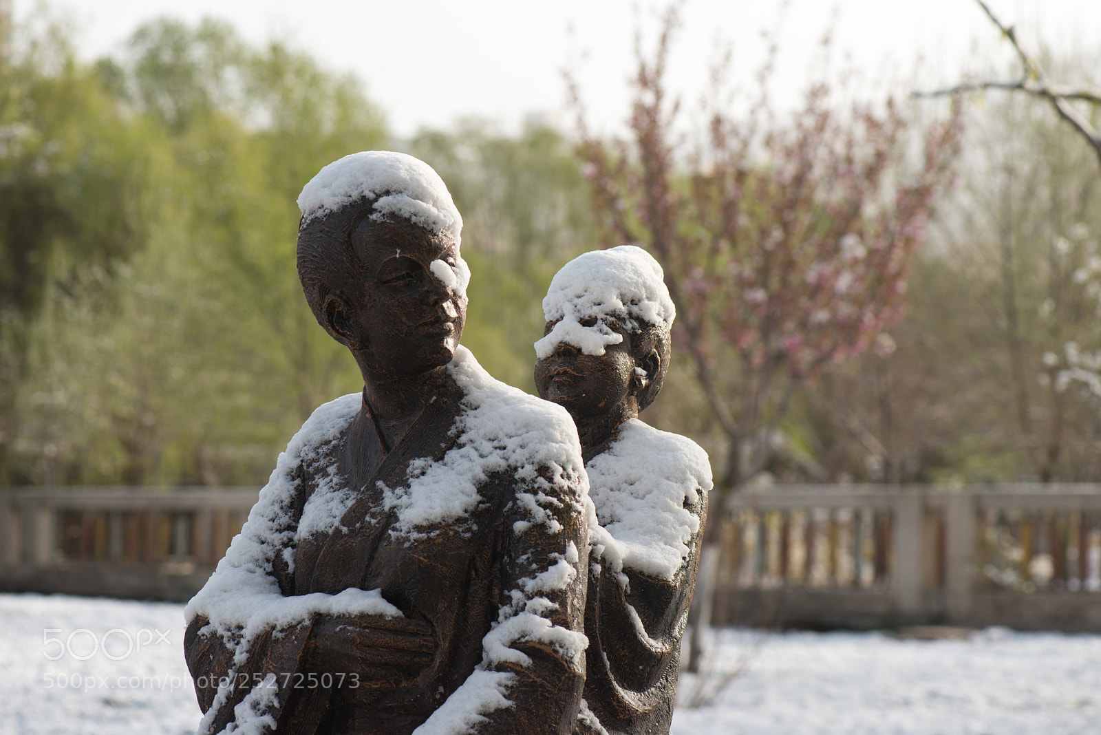 Nikon D800E sample photo. Spring snow photography