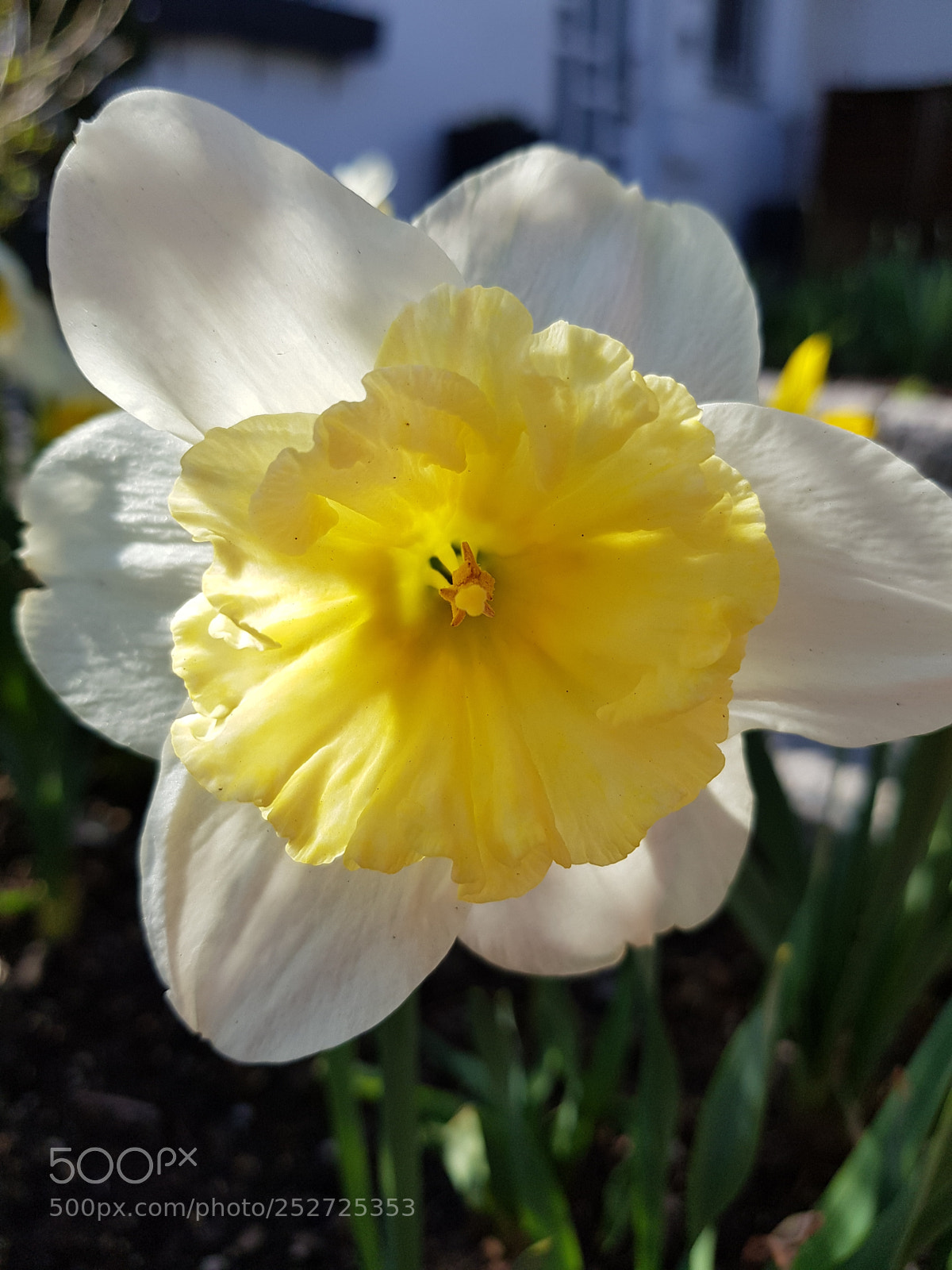 Samsung Galaxy S8+ sample photo. Untitled photography