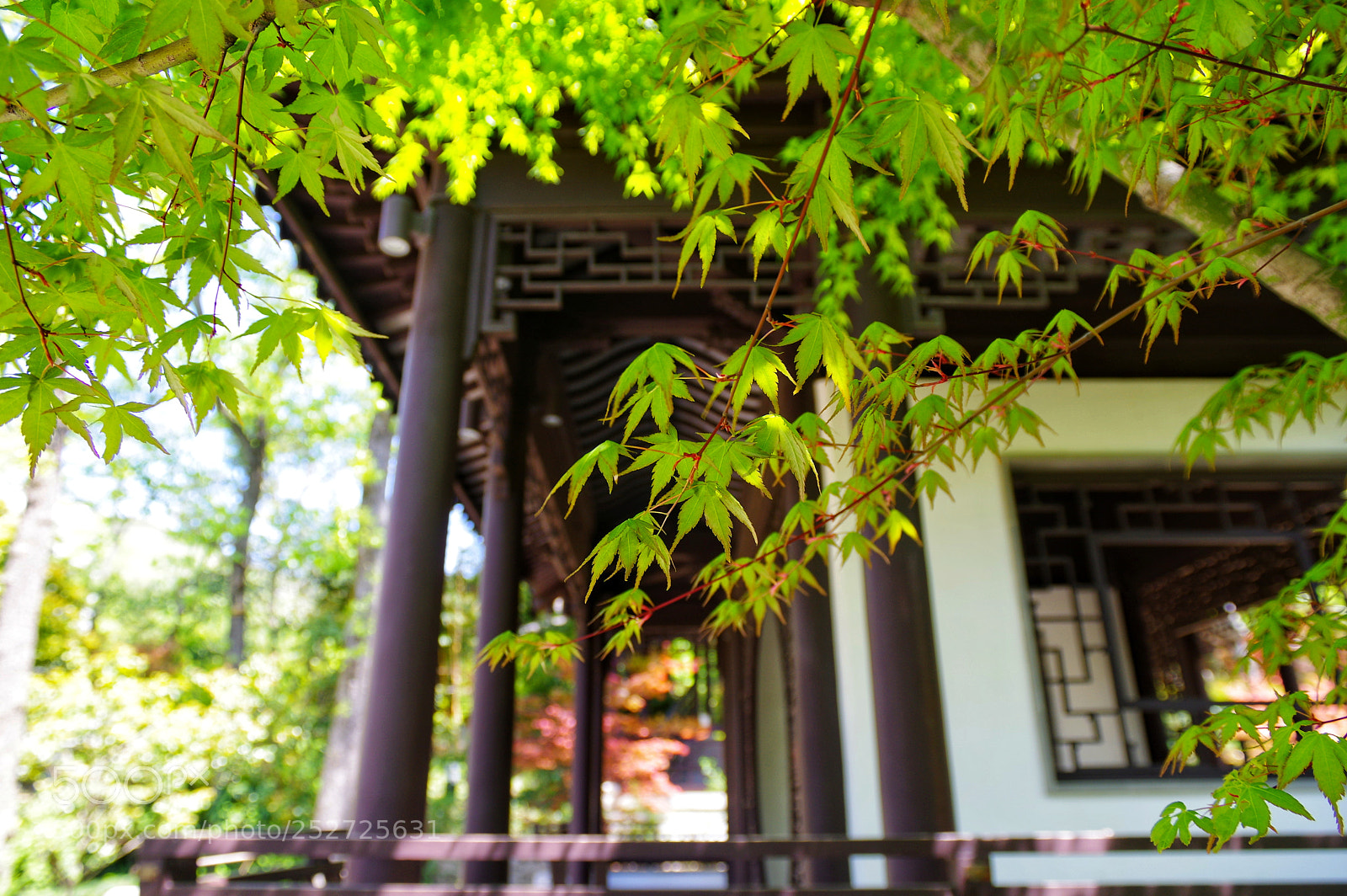 Pentax K-3 II sample photo. Untitled photography