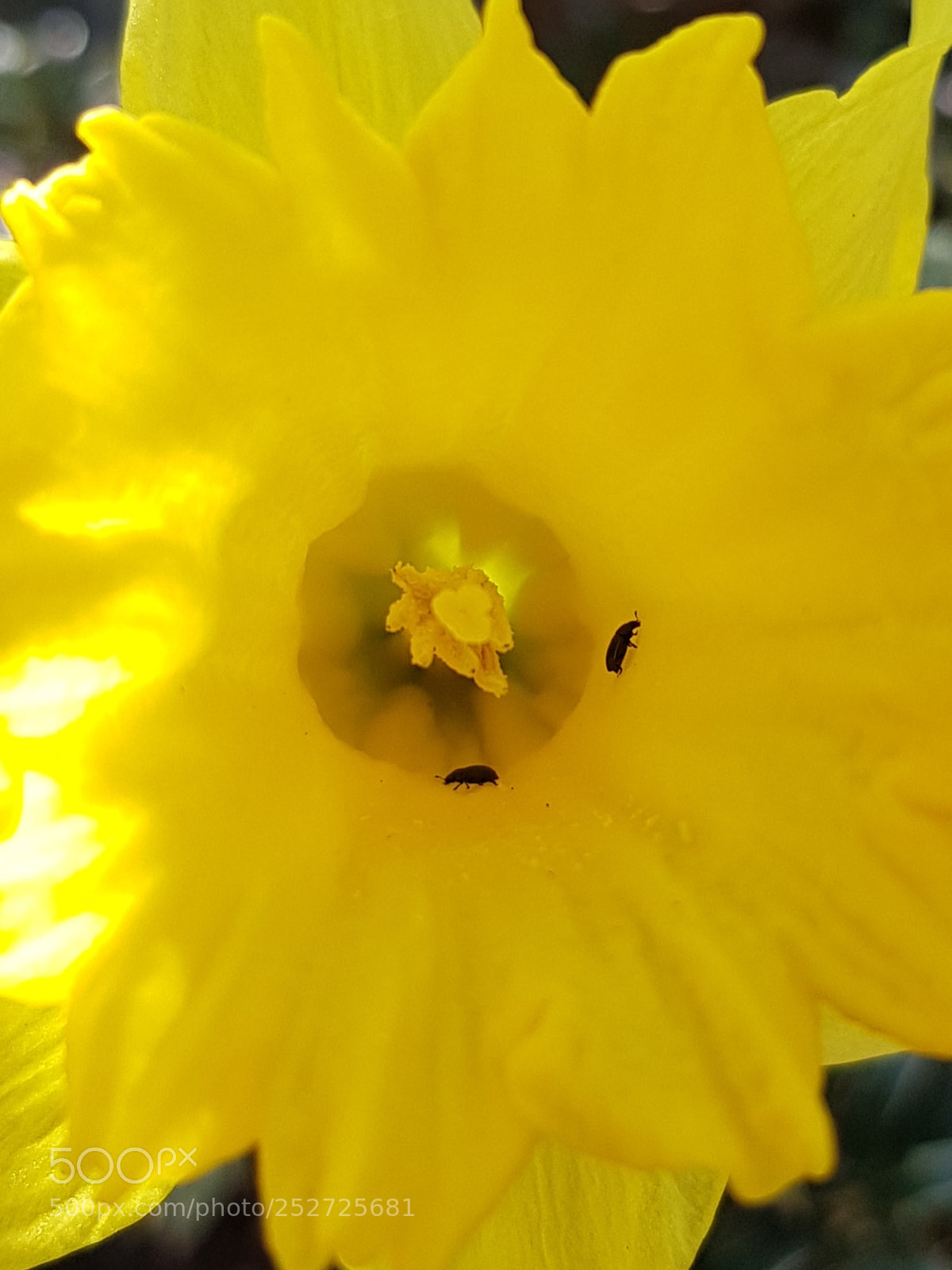 Samsung Galaxy S8+ sample photo. Untitled photography