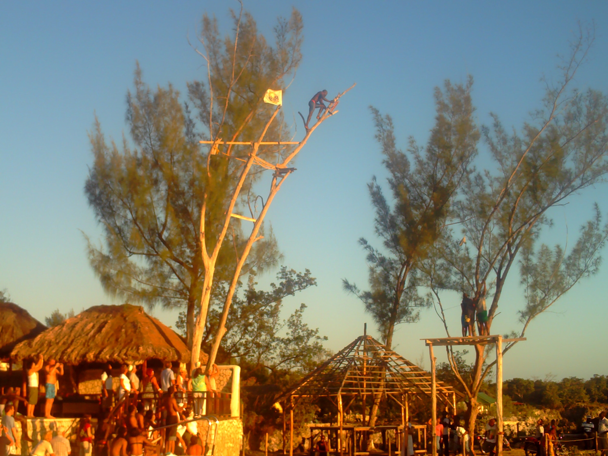 Syntek USB Camera sample photo. Jamaica photography
