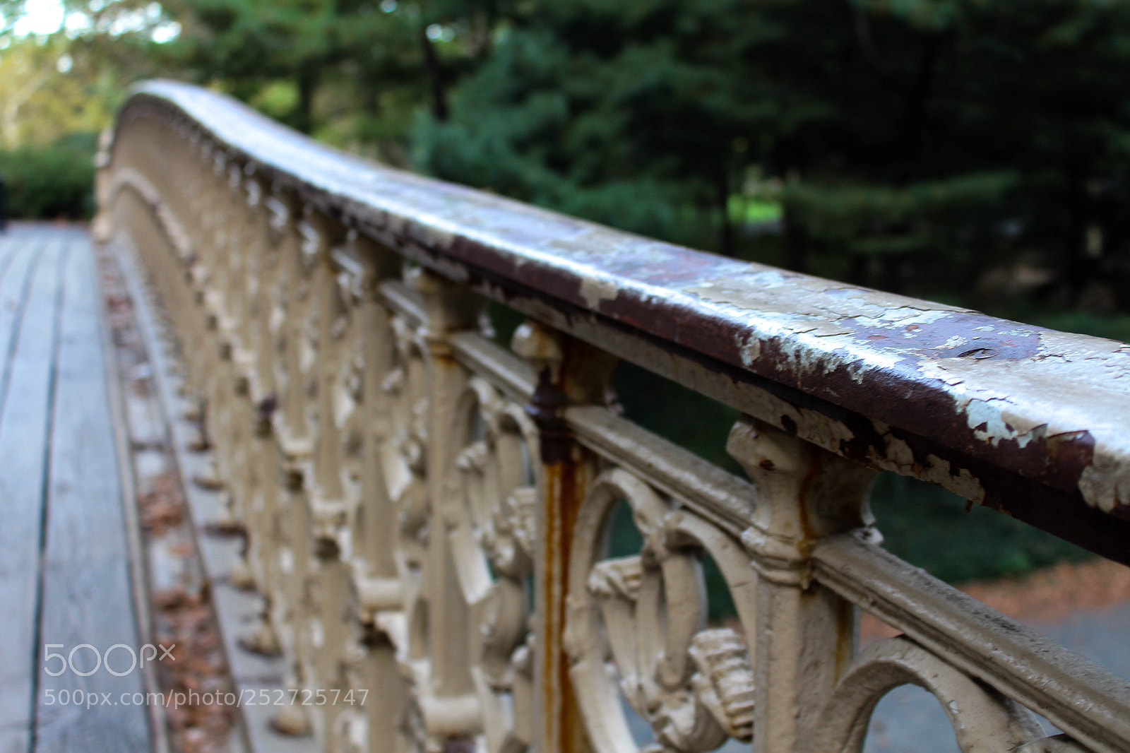 Canon EOS 700D (EOS Rebel T5i / EOS Kiss X7i) sample photo. New york, usa photography