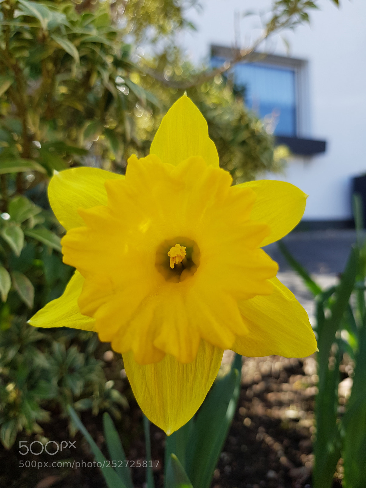 Samsung Galaxy S8+ sample photo. Untitled photography