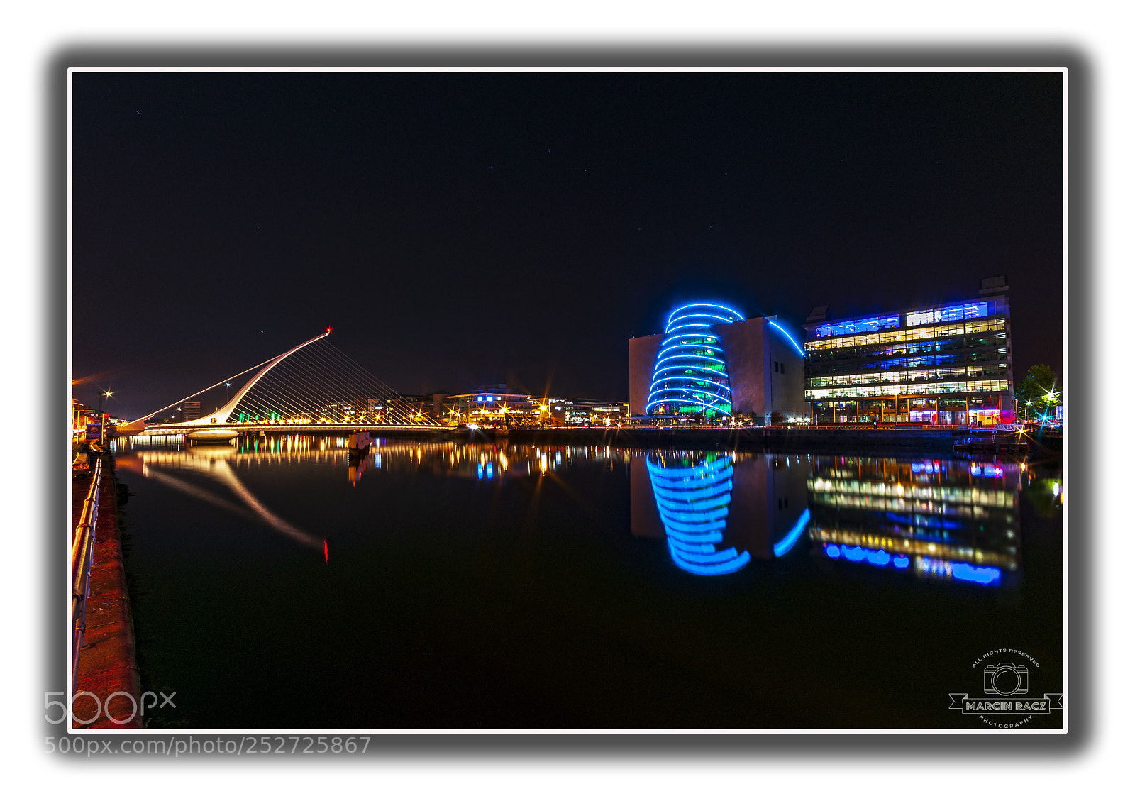 Nikon D90 sample photo. Samuel beckett bridge in photography