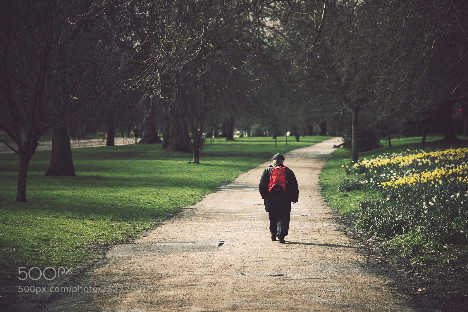 Nikon D800E sample photo. Untitled photography
