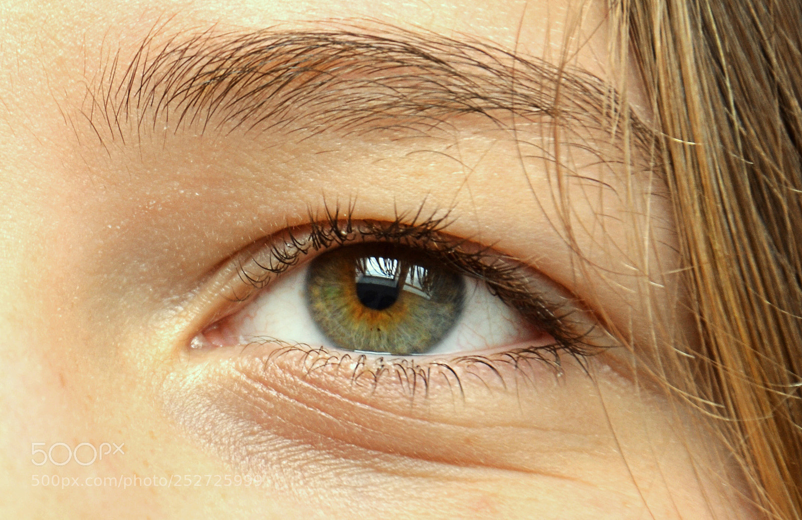 Nikon D3100 sample photo. Origins photography