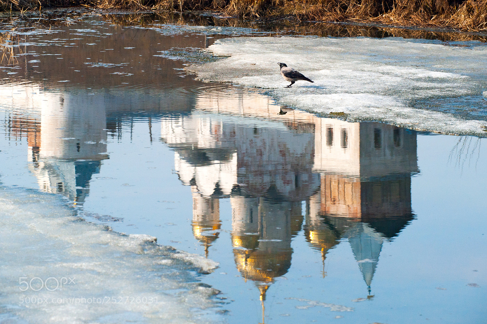 Nikon D700 sample photo. Luzhetsky monastery photography