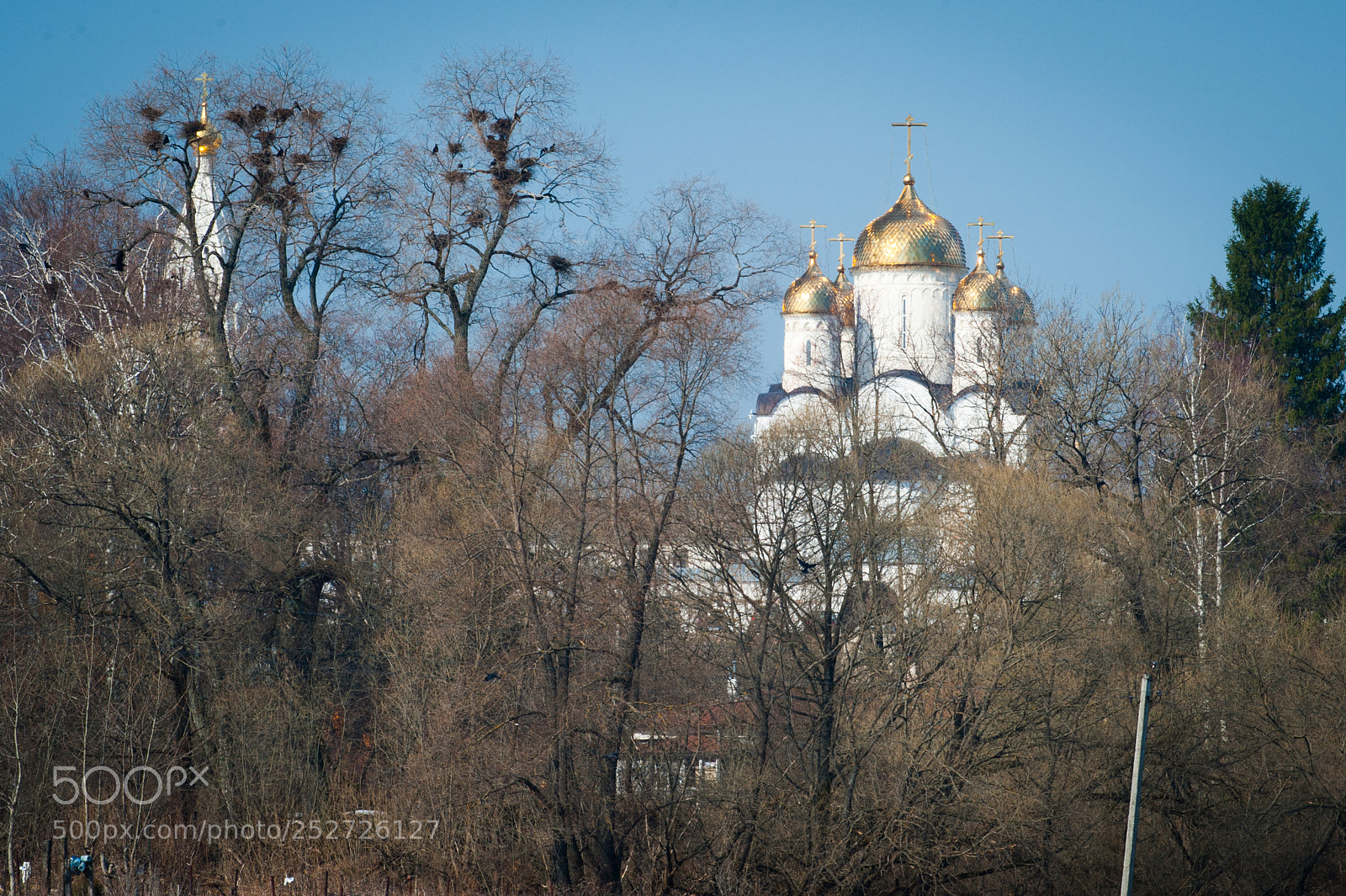 Nikon D700 sample photo. Luzhetsky monastery photography