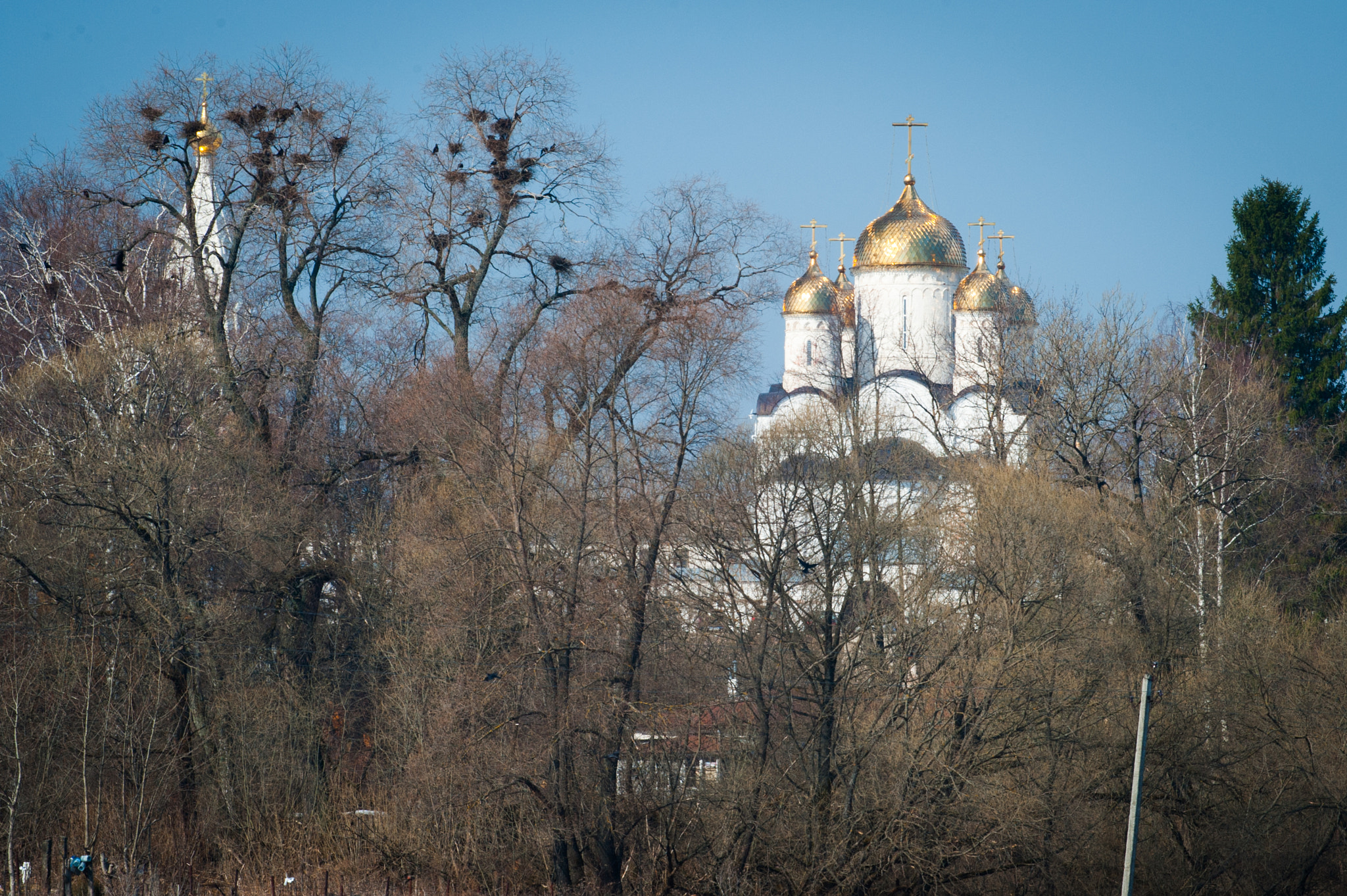 Лужецкий монастырь фото