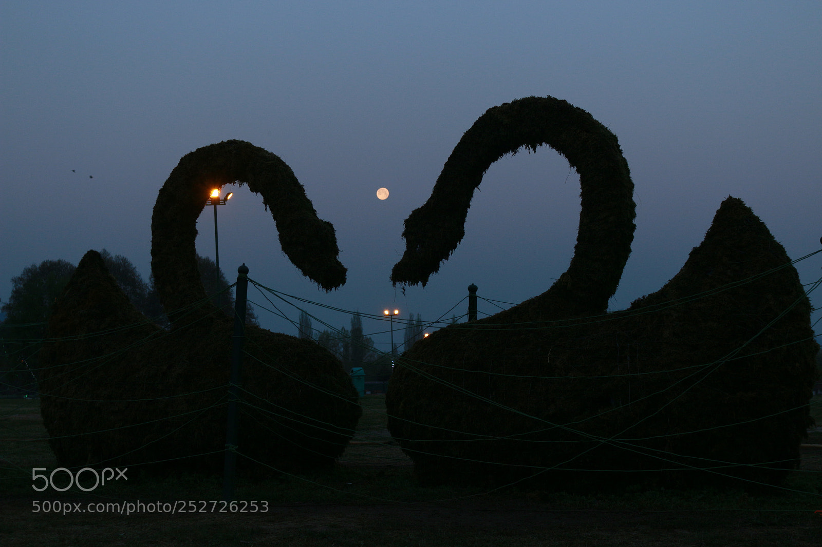 Canon EOS 70D sample photo. The moon photography