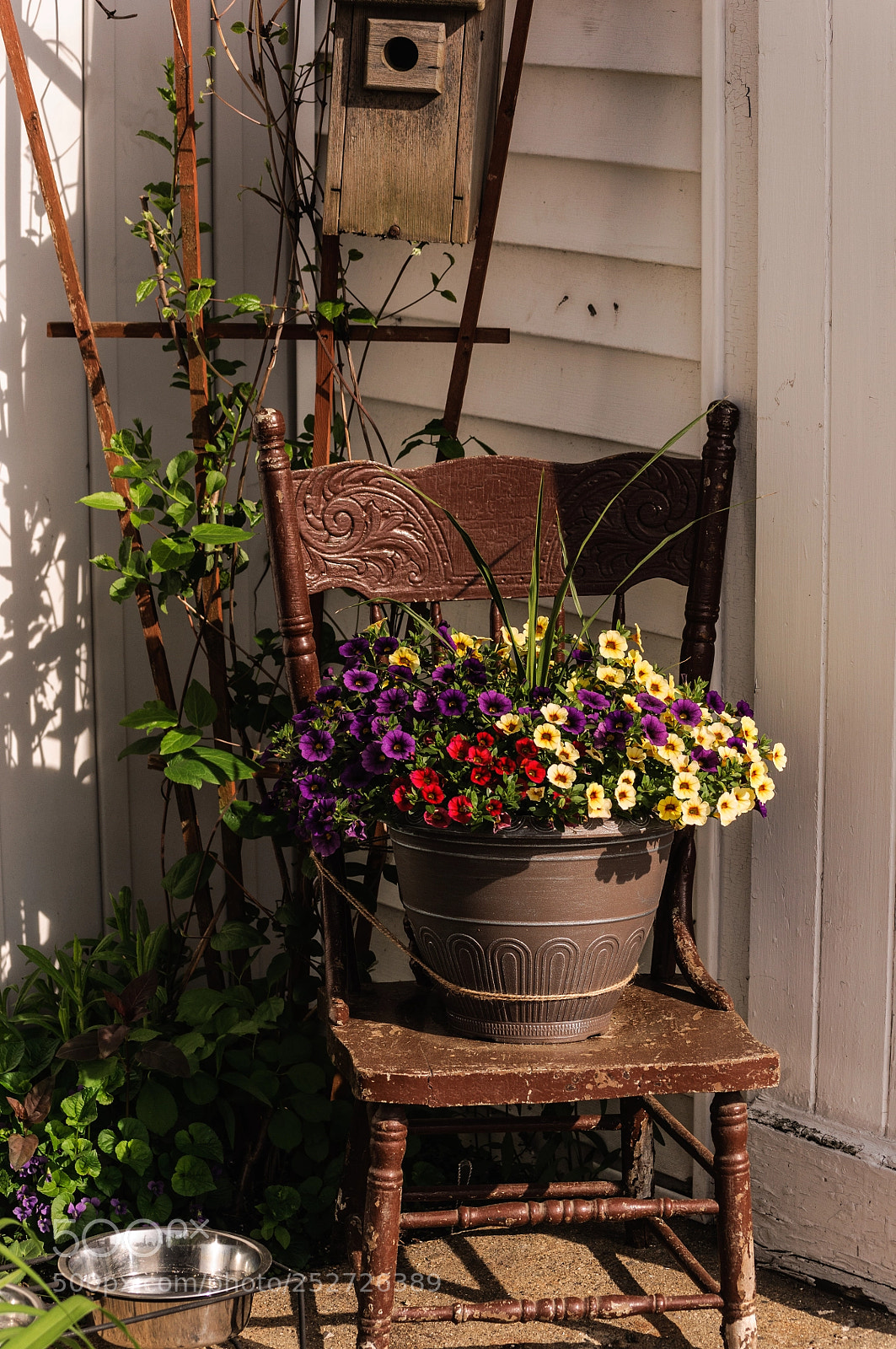 Nikon D90 sample photo. In the corner of photography