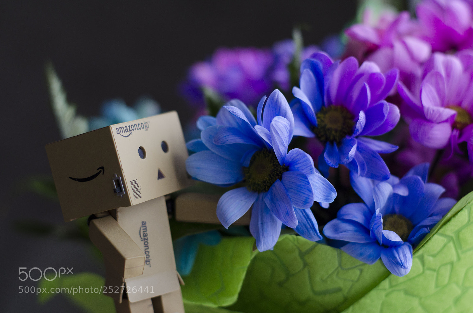 Nikon D5100 sample photo. The adventures of danbo photography