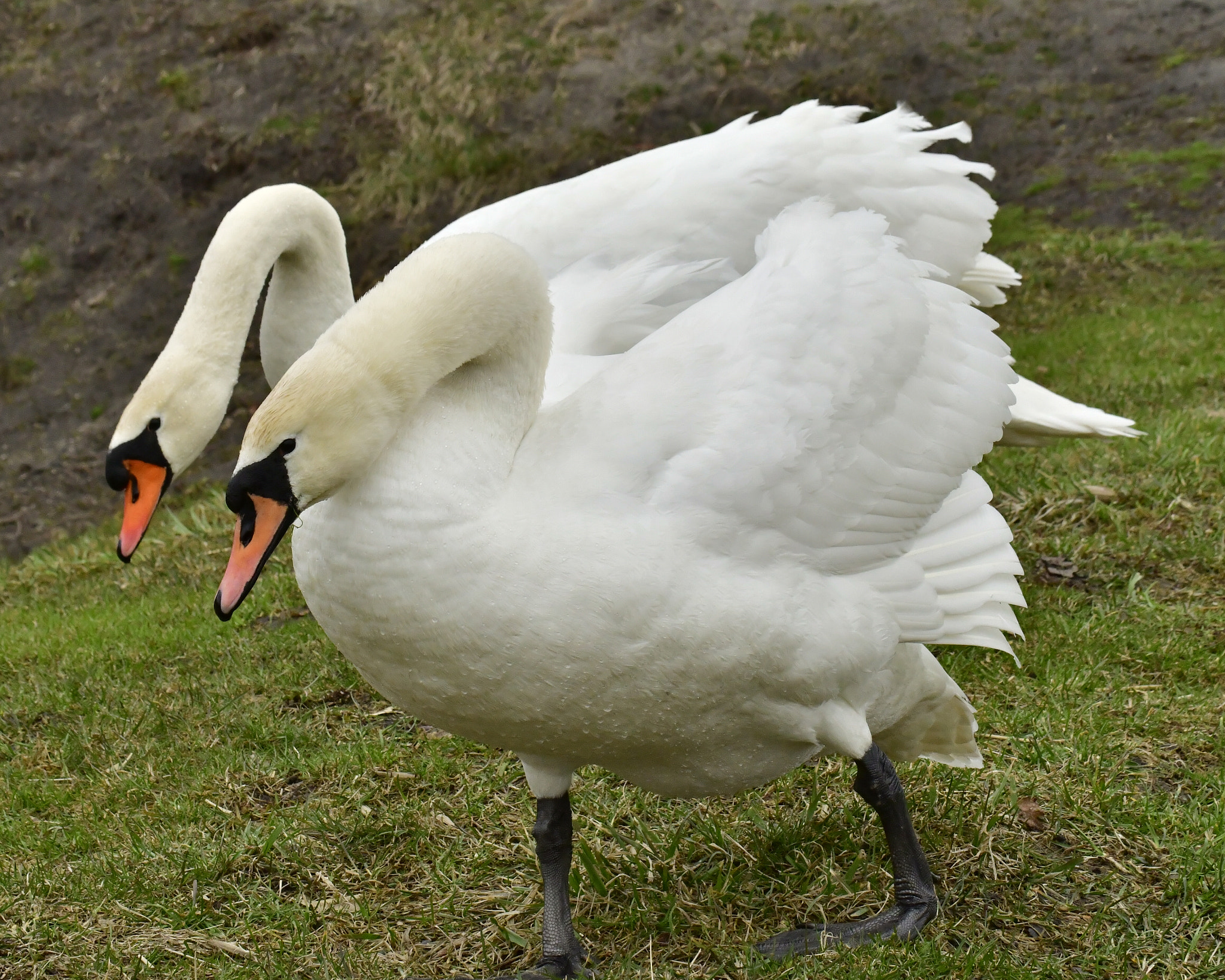 Nikon D7500 sample photo. Dsc photography
