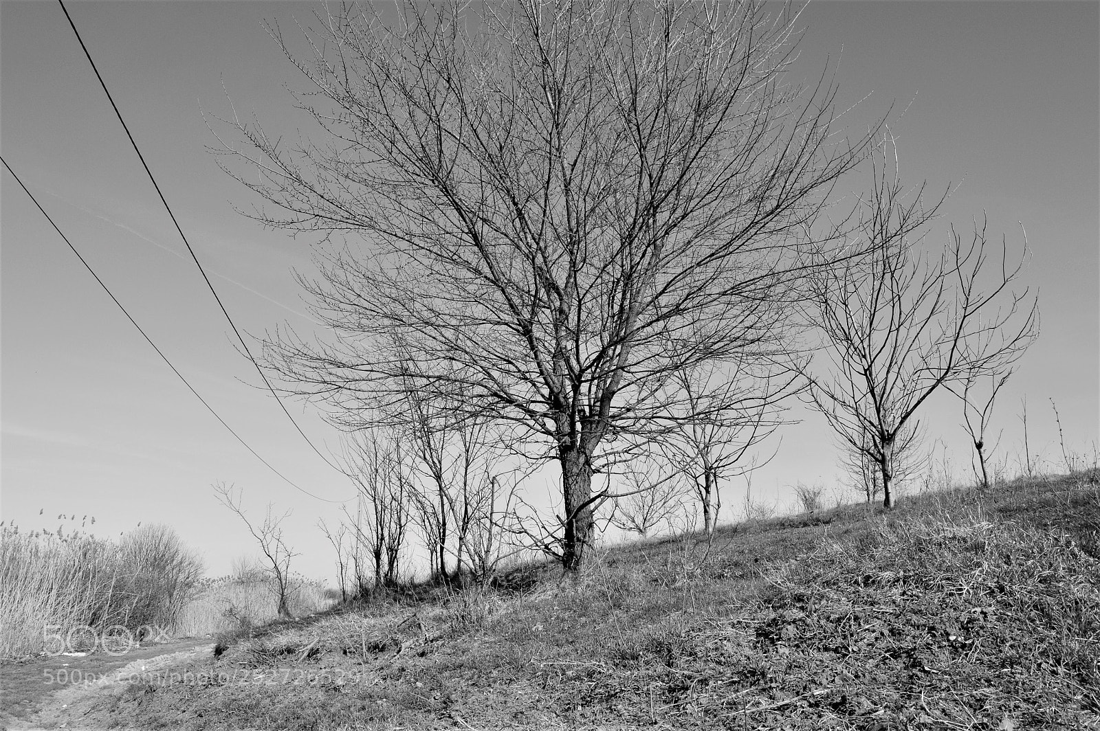 Nikon D3200 sample photo. Away and out photography