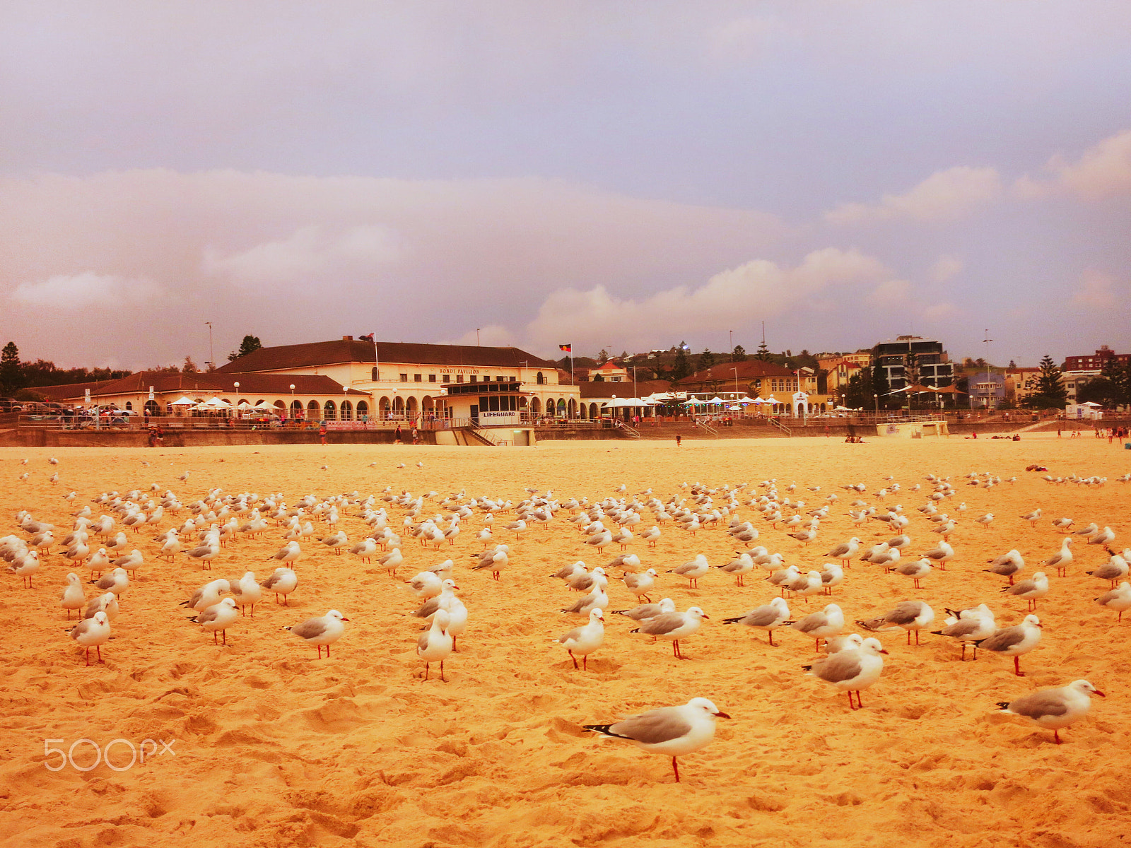 Canon PowerShot S110 sample photo. Taken in bondi beach, australia photography