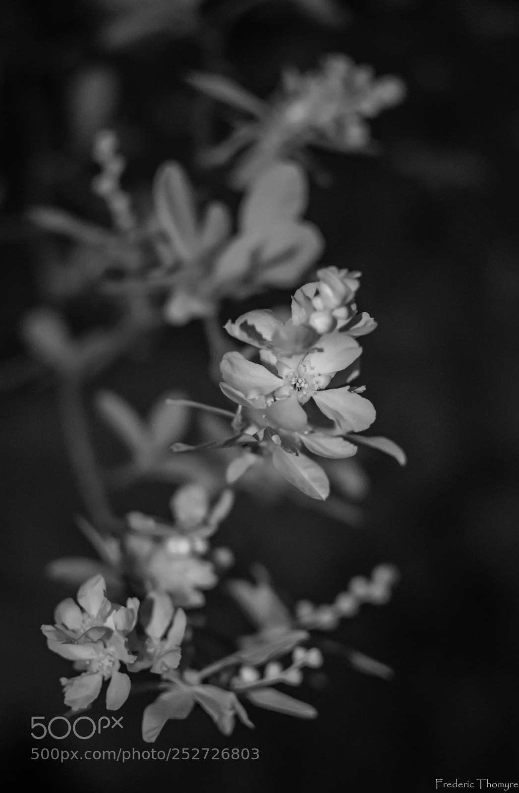 Nikon D5500 sample photo. Dsc photography