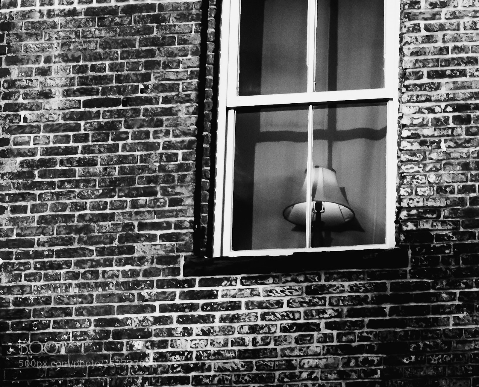 Nikon D5500 sample photo. Windows of savannah  photography