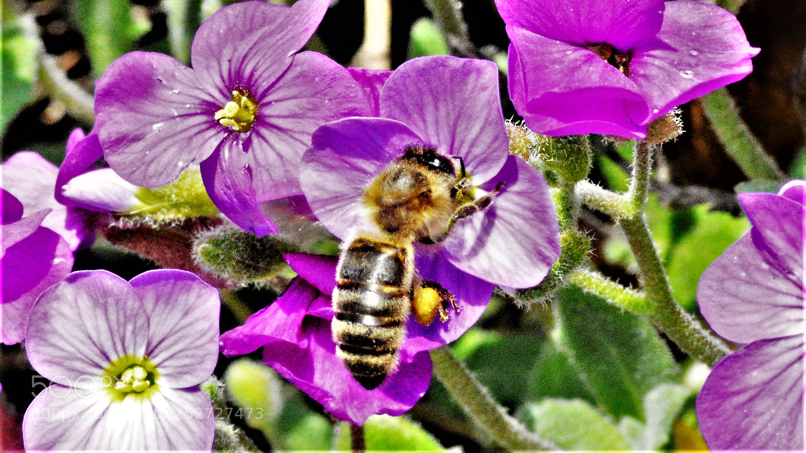 Nikon D3200 sample photo. Untitled photography