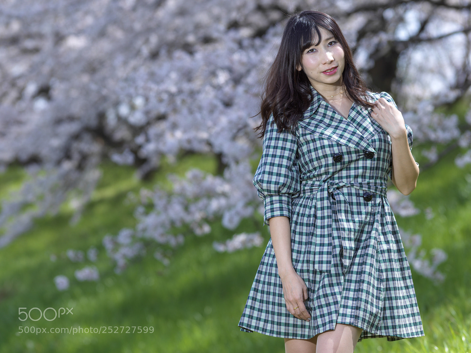 Hasselblad X1D-50c sample photo. Spring full bloom photography
