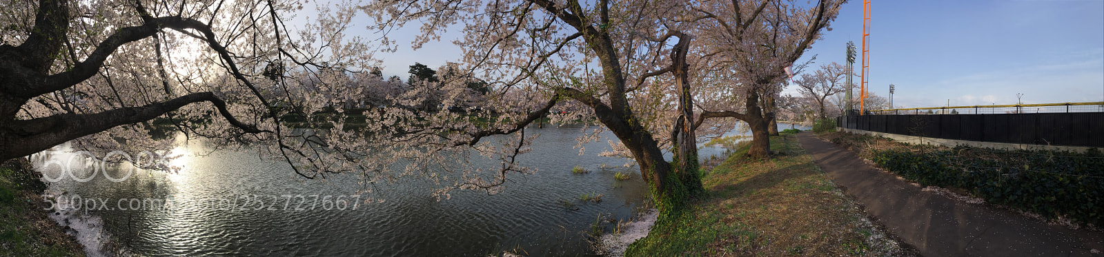 Apple iPhone SE sample photo. Panorama photo of takada photography