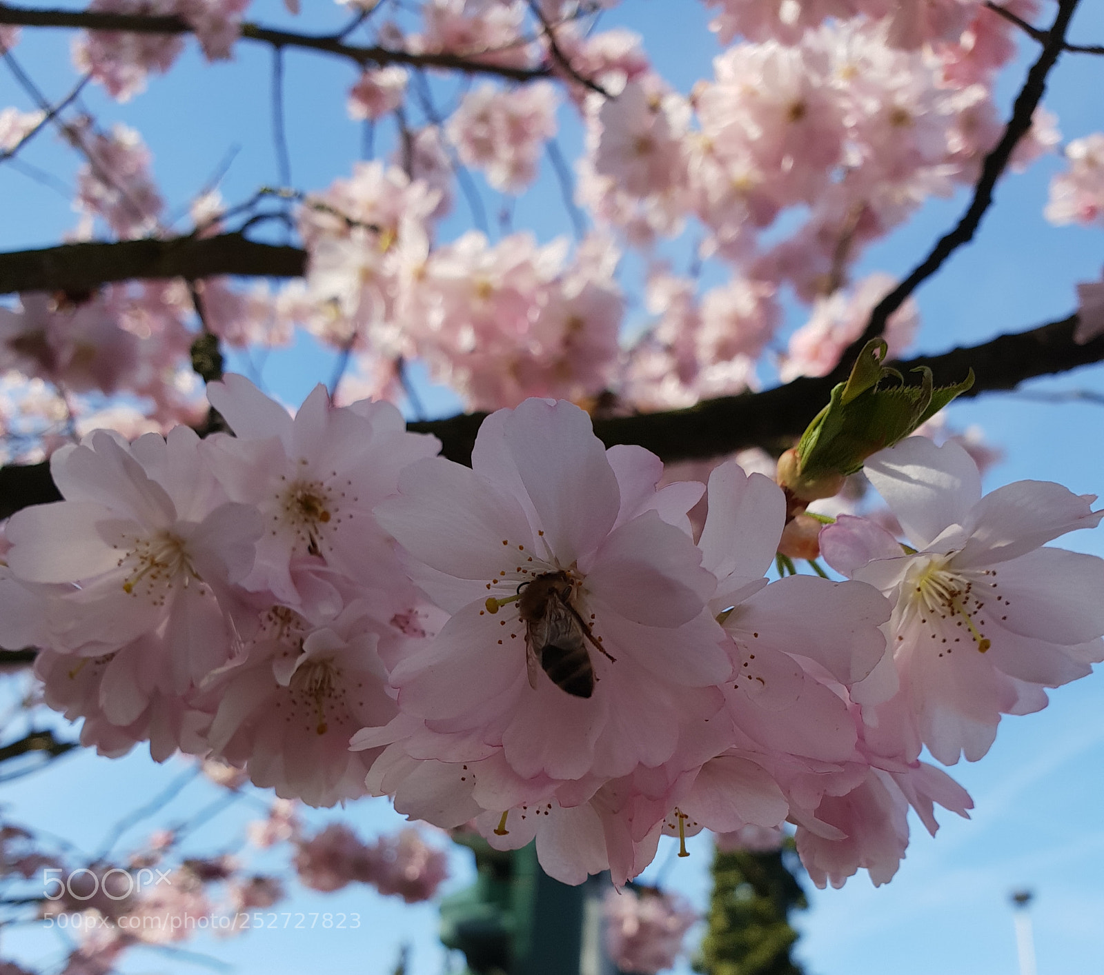 Samsung Galaxy S9+ sample photo. Untitled photography