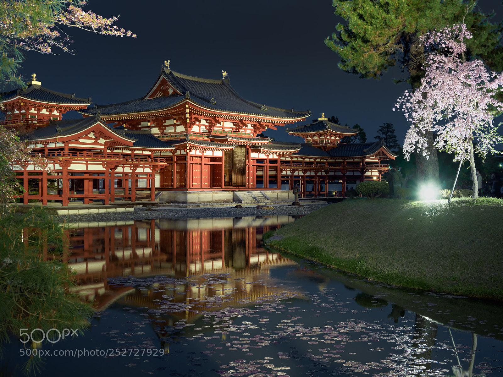 Olympus OM-D E-M1 Mark II sample photo. Byodoin temple in the photography
