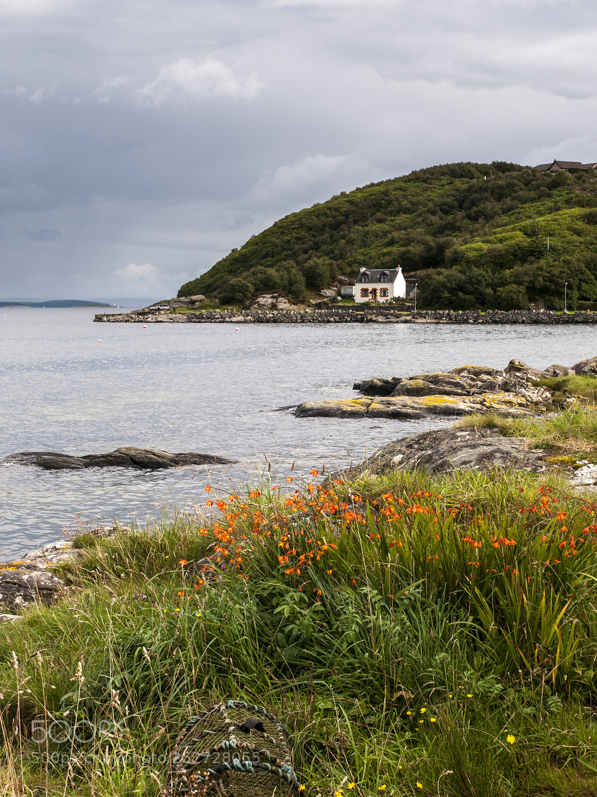 Nikon D300 sample photo. Near tarbert autumn 08 photography