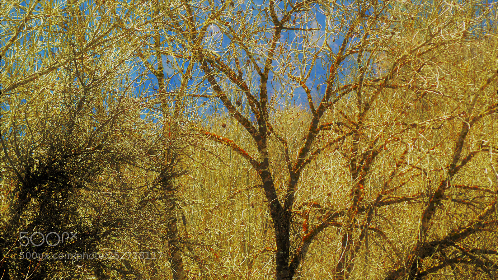 Nikon D3200 sample photo. Untitled photography