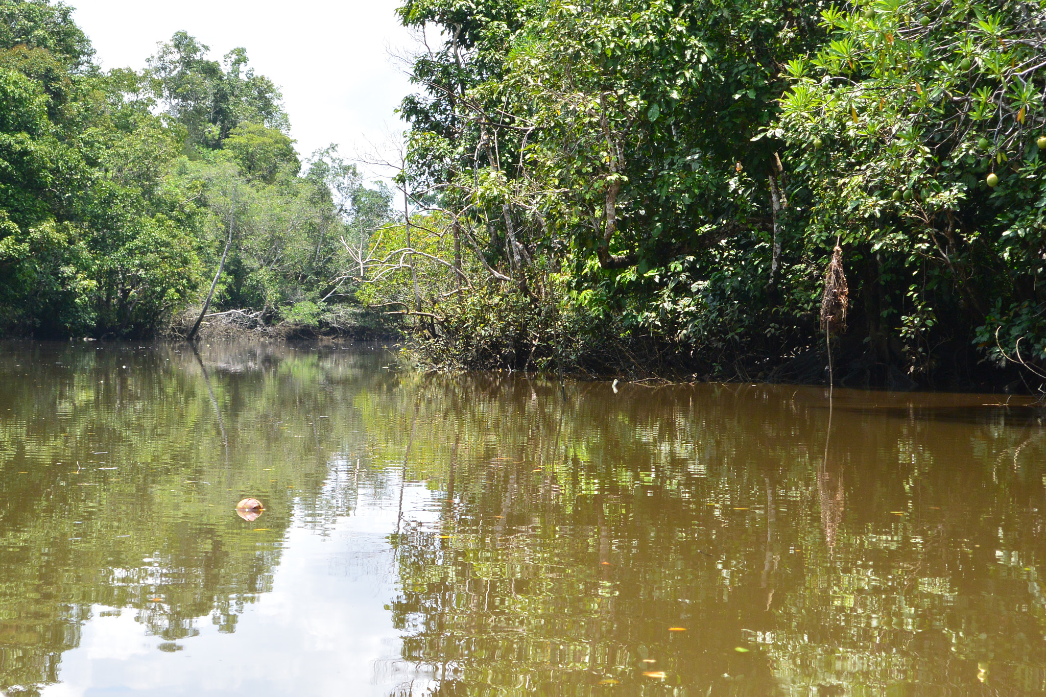 Nikon 1 J3 sample photo. Si agung river photography