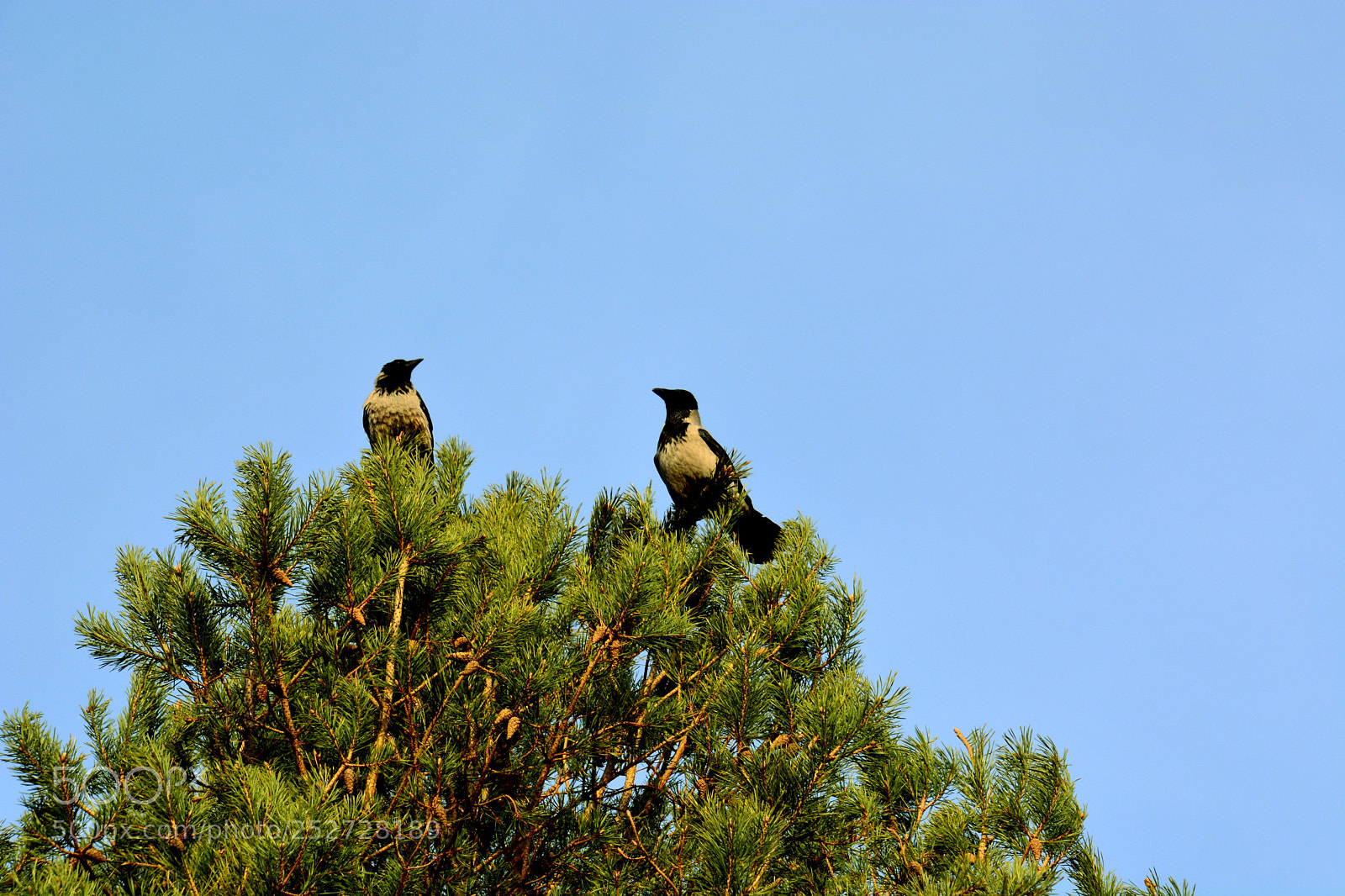Nikon D5200 sample photo. Let's talk ! photography