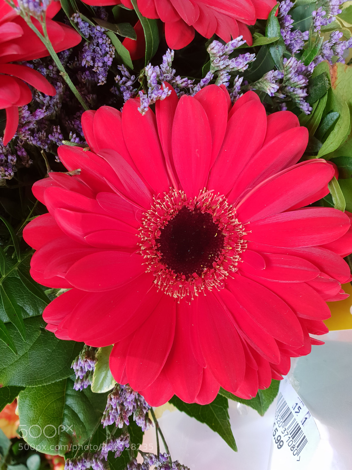 Samsung Galaxy S9+ sample photo. Untitled photography