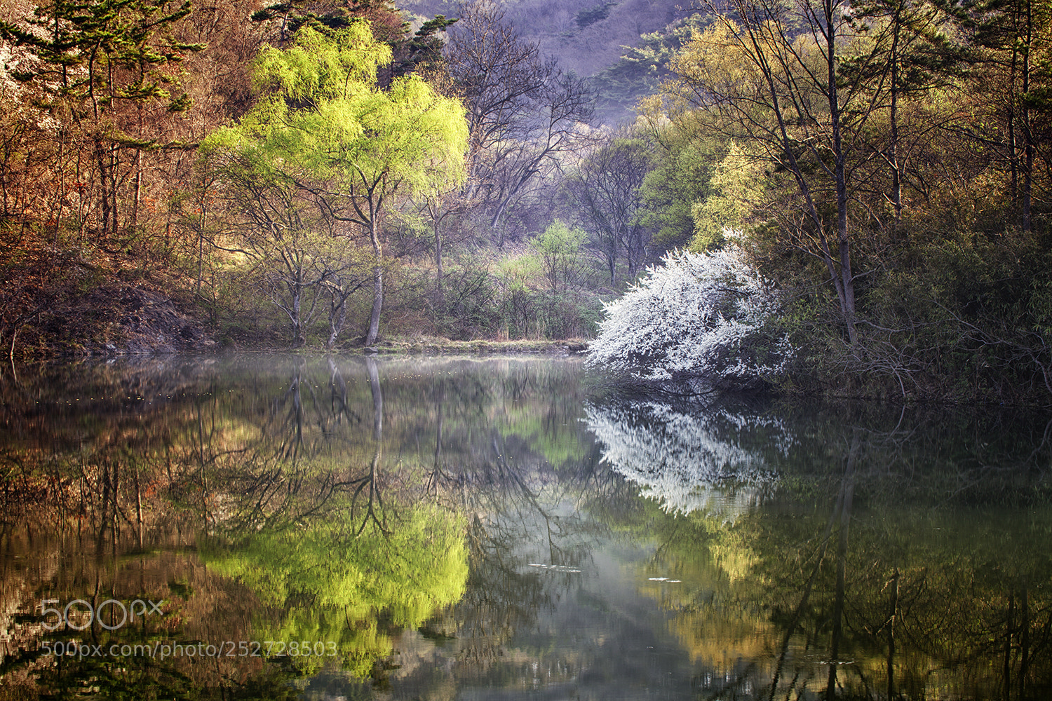Canon EOS 5D Mark II sample photo. The morning of the photography