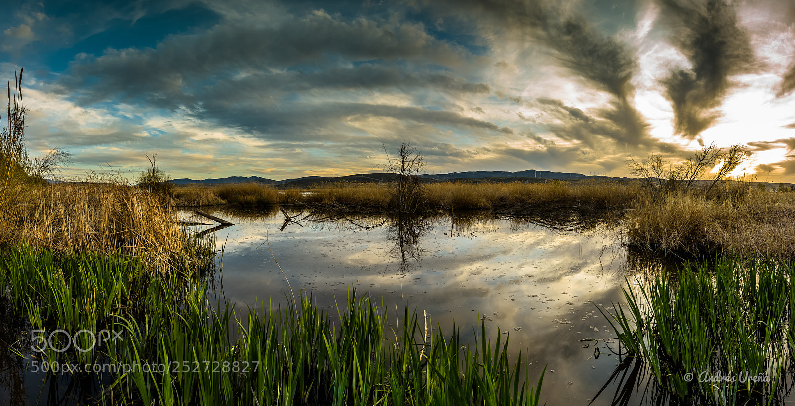Nikon D810 sample photo. On the route of photography