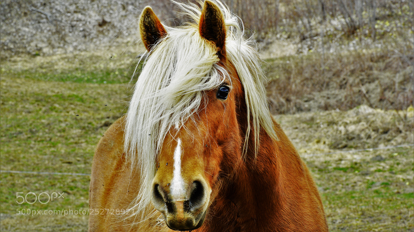Nikon D3200 sample photo. Untitled photography