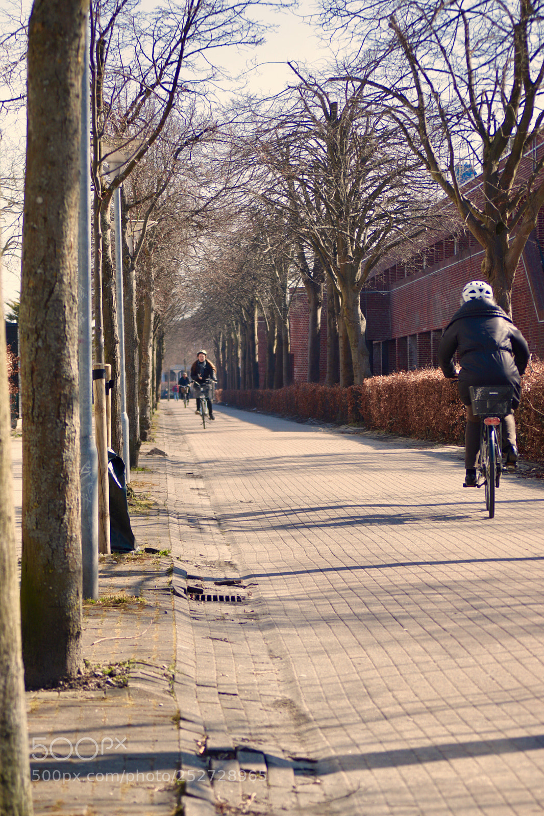 Canon EOS 77D (EOS 9000D / EOS 770D) sample photo. People on bicycles  photography